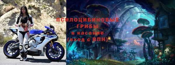 эйфоретик Алексеевка