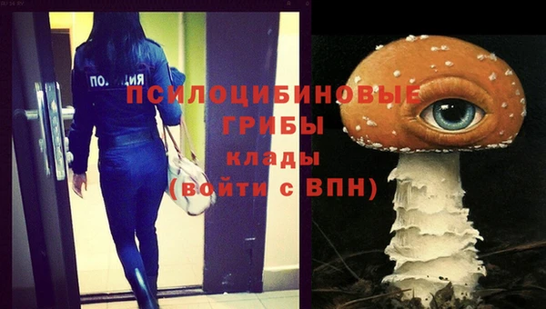 ПСИЛОЦИБИНОВЫЕ ГРИБЫ Алексин