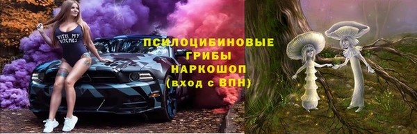 шишки Алзамай