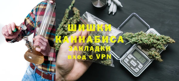 шишки Алзамай