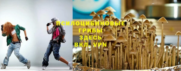 ПСИЛОЦИБИНОВЫЕ ГРИБЫ Алексин