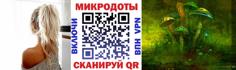 Псилоцибиновые грибы Psilocybe  блэк спрут рабочий сайт  Бокситогорск 